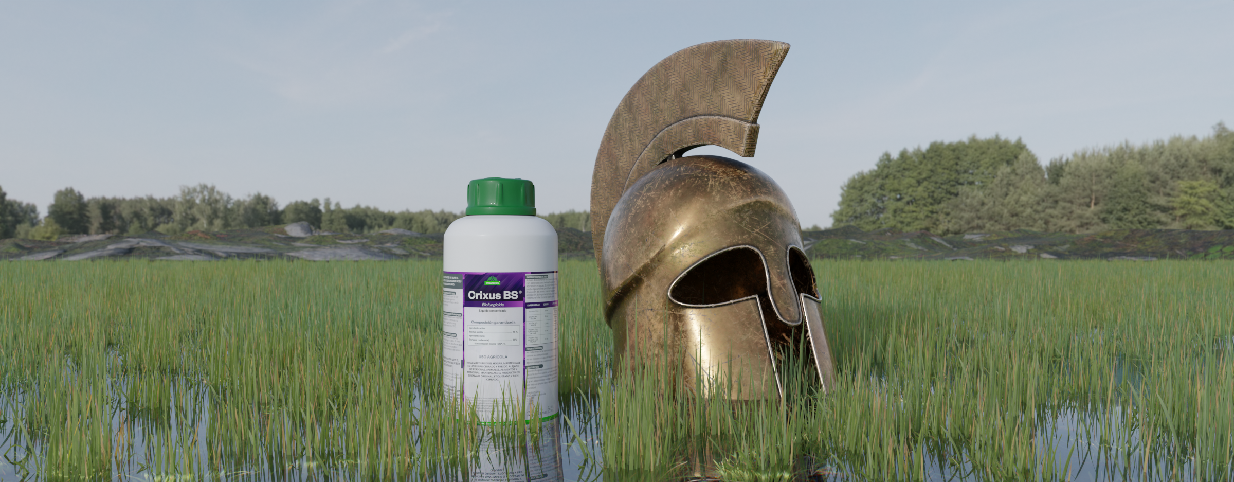 Desarrollo Web Profesional